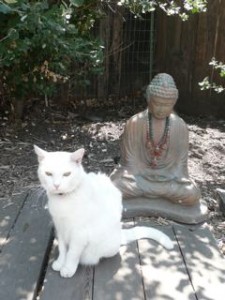 Makia sitting with uddha