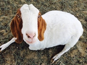 20140507-205302.jpg