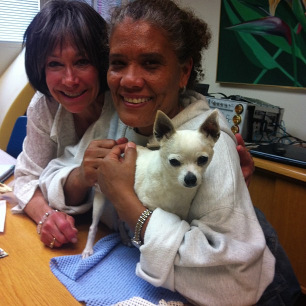 Bambi the chihuahua says, "After my chiropractic adjustment I feel like happiness has entered my body!" With Vet Rachel Jones & Chiropractor Sherry Gaber #animals @marinaveterinaryclinic #pets