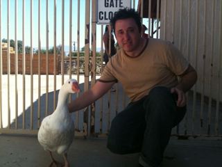 BUFFY THE GOOSE & SHAWN