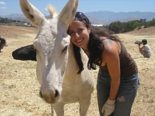 HONKY TONK & ANNABEL THE VOLUNTEER