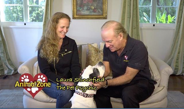Watch what Mikey the Pit Bull has to say on Animal Zone! We also talk about what to say to your animals when you go on vacation. Click here too watch the video: https://youtu.be/aYcE1QTMngI?t=1344 Also on AnimalZone this week, Arthur von Wiesenberger visit with Jamie McLeod of the Santa Barbara Bird Sanctuary and discover some of the unique qualities of cockatoos and macaws. At the Santa Barbara Humane Society's Educational Center. He meets with Dr. Whitney O’Malley who is teaching a class of preschoolers important ways to interact and pet a dog. Later, Kerri Burns, Executive Director of the SBHS, takes the class on a tour of the cat and dog areas at the shelter. Laura Stinchfield, the Pet Psychic, talks with Mikey The Pit Bull and tells us some of his hopes and wishes. Animal Zone airs Saturday on Cox Cable Channel 4 at 5:30 PM and on Channel 17 on Sunday at 7:30 PM. All episodes are also on www.AnimalZone.org