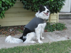 wearing anxiety wrap