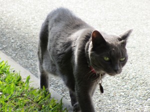 IMG_0053