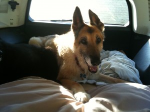 maia_In_car