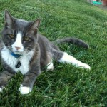 Joey looking