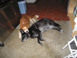 IMG_1247.jpg