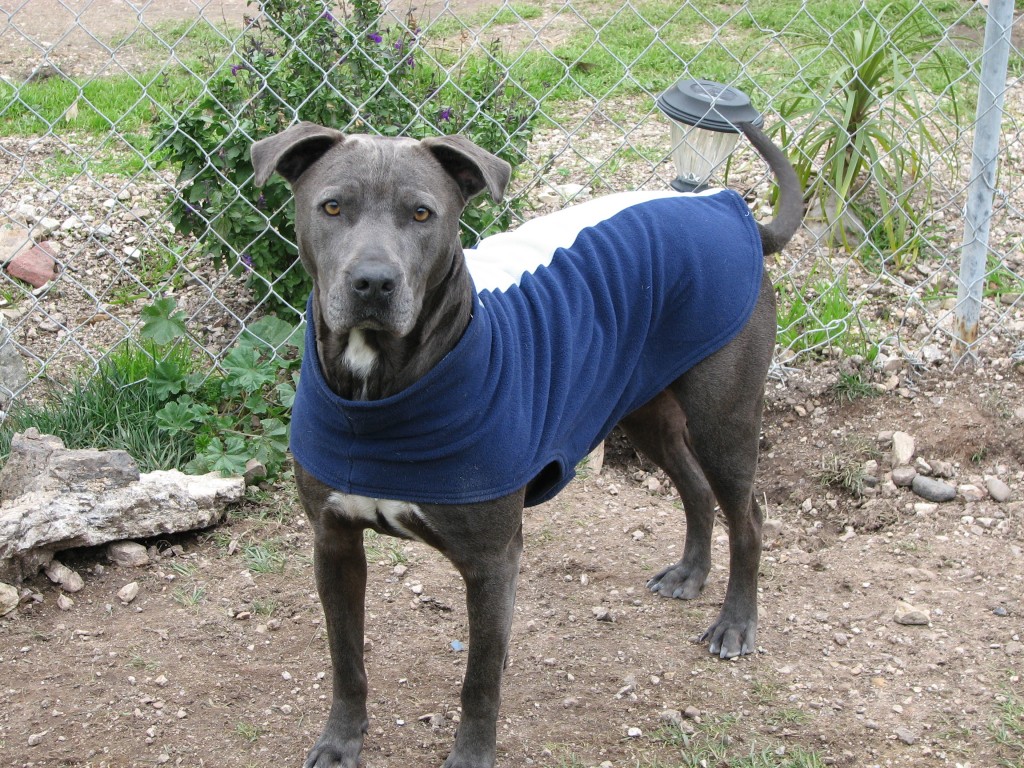 LULU