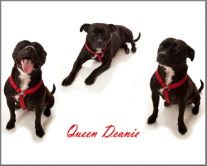 Queen Deanie