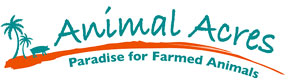 CLICK HERE TO GO TO ANIMAL ACRES WEBSITE