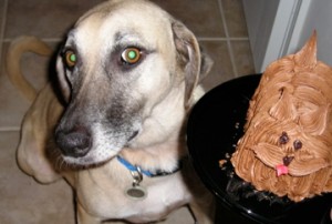 abbywcake