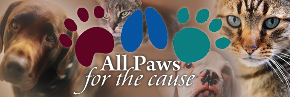 allpawsheader