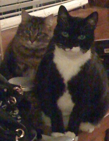Astro and friend