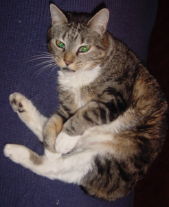 DSC00003