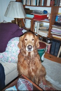 george