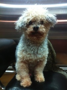 george_blog