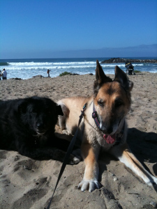 Storm & Maia at our old stomping ground "Marina Park"
