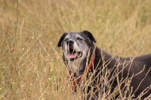 img_1874