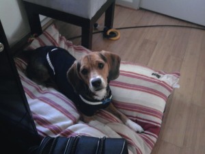 jake with sweater