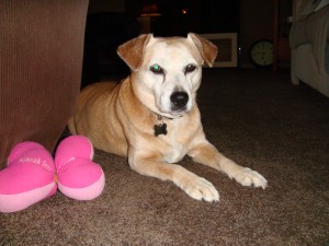 penny1
