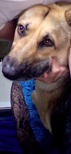 Photo on 2010-07-04 at 10.04