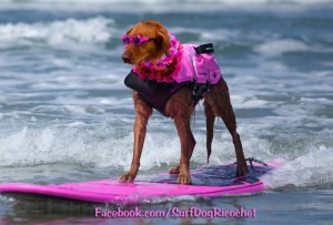 learn more about her story at www.surfdogricochet.com