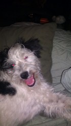sparcky