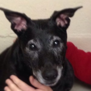 tiffany-deceased